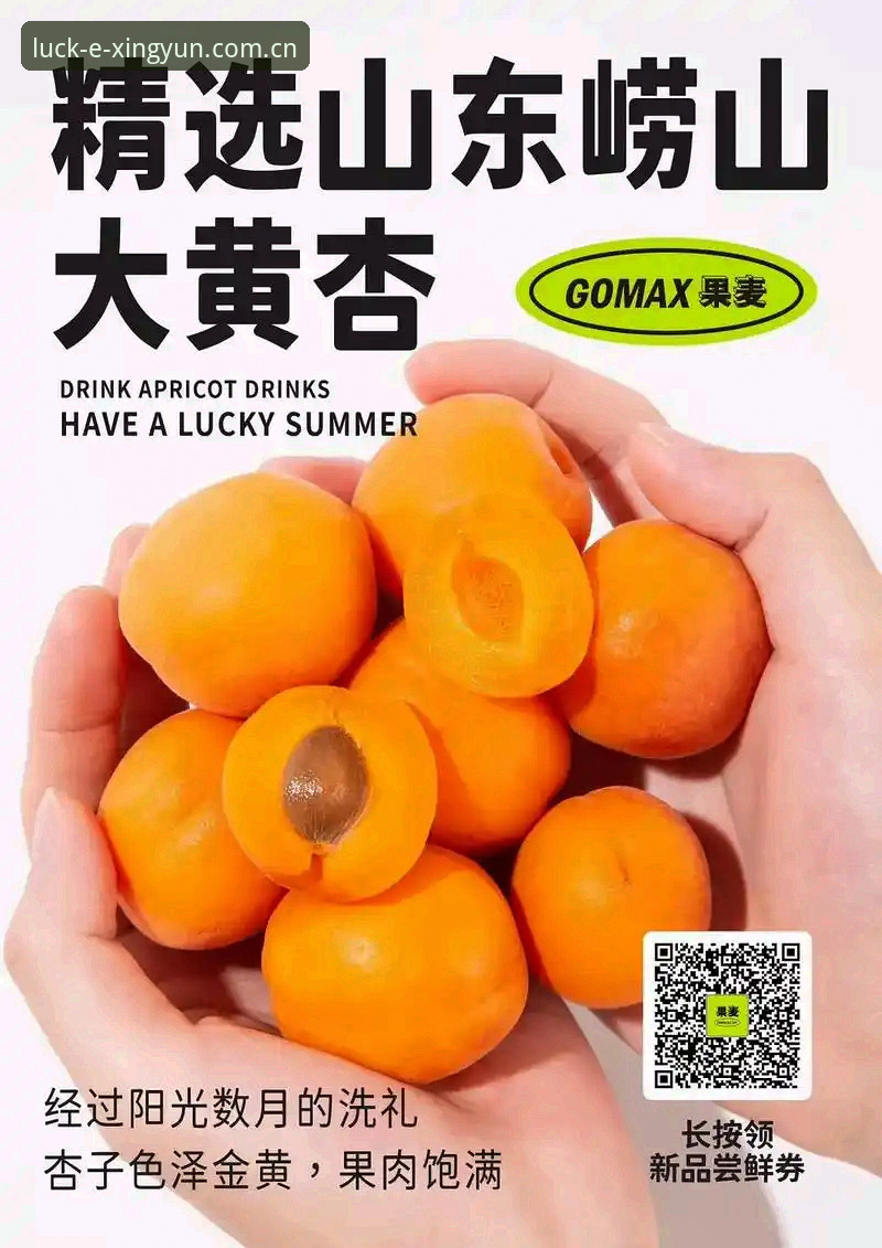 杏运CN体育数据最新版 揭秘杏运CN体育数据最新版:你以为只是换了个皮?门道全在这儿